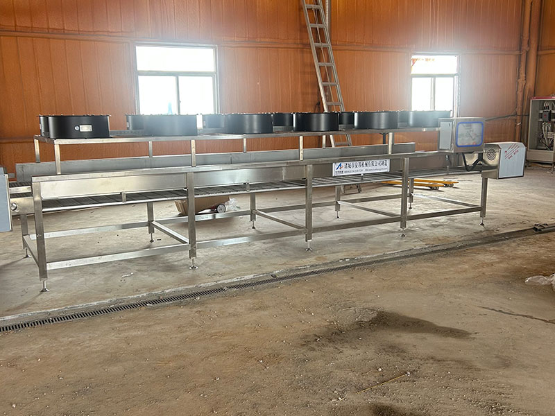 宁夏黄花菜加工现场